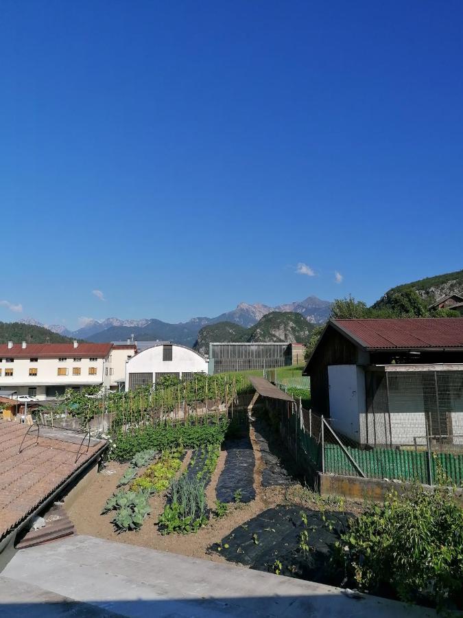 ホテル Al Fogolar Villa Santina エクステリア 写真